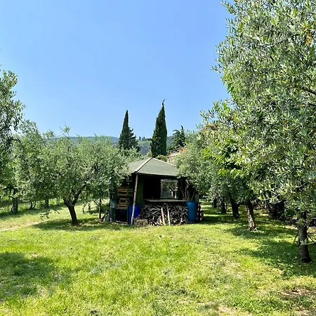 Daire Corte Lavarini The Magic At Sight