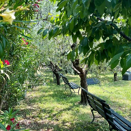 Corte Lavarini The Magic At Sight *