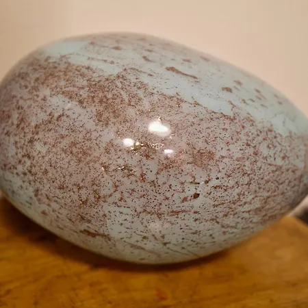 Daire Corte Lavarini The Magic At Sight *